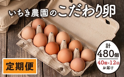 isa529 【定期便】いちき農園のこだわり卵(計480個・40個×12カ月)平飼い 鶏 たまご 卵 タマゴ 低コレステロール 抗生物質不使用 卵かけご飯 TKG 定期便【いちき農園】