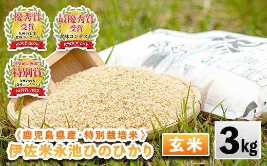 isa535 令和7年産 特別栽培米 永池ひのひかり玄米(3kg) 鹿児島 永池 お米 米 玄米 伊佐米 九州米サミット 食味コンテスト 最優秀賞受賞 ヒノヒカリ 【エコファーム永池】