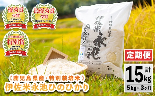 isa540 【定期便】令和7年産 特別栽培米 伊佐米永池ひのひかり(計15kg・5kg×3ヶ月) 伊佐市 永池 お米 米 白米 精米 伊佐米 食味コンテスト 最優秀賞受賞 ヒノヒカリ 【エコファーム永池】