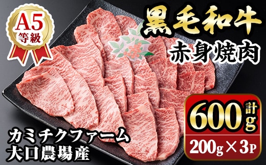 isa691 鹿児島県(カミチクファーム 大口農場)産 黒毛和牛赤身焼肉(計600g・200g×3パック) 黒毛和牛 赤身 焼肉 和牛 国産牛 高級肉 A5 ランク 雌牛 牛肉 焼肉用 BBQ バーベキュー アウトドア キャンプ 高タンパク 冷凍 小分け 【お肉の直売所 伊佐店】