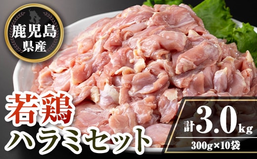 isa716 鹿児島県産若鶏ハラミセット(計3kg・300g×10P) 鹿児島県産 国産 鶏肉 鳥肉 とり肉 ハラミ 希少部位 炭火焼き 焼肉 BBQ 炒め料理 おつまみ 真空 小分け 【TRINITY】