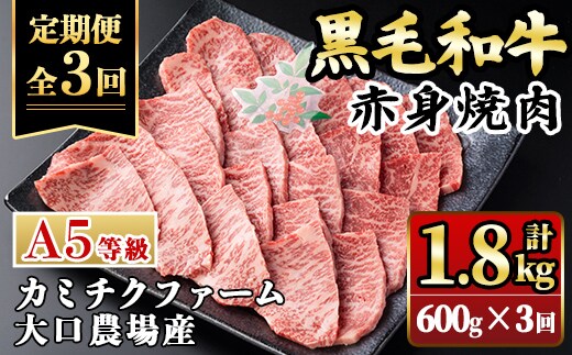 isa848 【定期便3回】鹿児島県(カミチクファーム 大口農場)産 黒毛和牛赤身焼肉(計1.8kg) 黒毛和牛 赤身 焼肉 和牛 国産牛 高級肉 A5 ランク 雌牛 牛肉 焼肉用 BBQ バーベキュー アウトドア キャンプ 高タンパク 冷凍 小分け 【お肉の直売所 伊佐店】