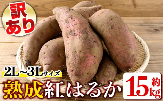isa876 《訳あり》熟成紅はるか(約15kg・2L～3Lサイズ混合) 訳あり さつまいも 紅はるか 鹿児島 生芋 完熟 長期熟成 土付き べにはるか サツマイモ 焼き芋に 【いさ工房】