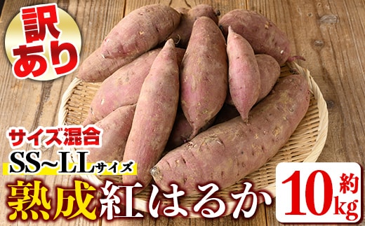 isa877 《訳あり》熟成紅はるか(約10kg・SS～LLサイズ混合) 訳あり さつまいも 紅はるか 鹿児島 生芋 完熟 長期熟成 土付き べにはるか サツマイモ 焼き芋に 【いさ工房】