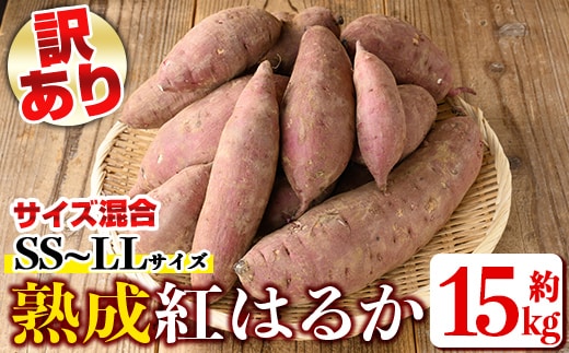 isa878 《訳あり》熟成紅はるか(約15kg・SS～LLサイズ混合) 訳あり さつまいも 紅はるか 鹿児島 生芋 完熟 長期熟成 土付き べにはるか サツマイモ 焼き芋に 【いさ工房】