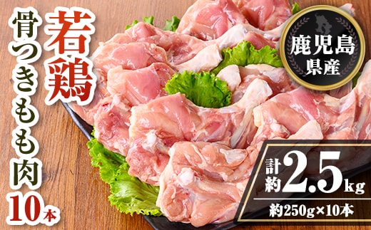 isa711 鹿児島県産 若鶏骨付きもも10本セット (計約2.5kg・約250g×10本) 鹿児島県産 鶏肉 鳥肉 もも肉 モモ肉 下処理 煮込み ロースト から揚げ 真空 真空パック アウトドア BBQ 冷凍 【TRINITY】
