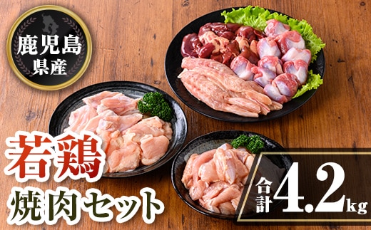 isa726 鹿児島県産 若鶏焼肉セット (合計4.2kg) 鹿児島県産 小分け 真空パック 鶏肉 鳥肉 もも肉 モモ肉 砂肝 肝 手羽中 肩肉 小肉 焼き肉 焼肉 セット 詰め合わせ 冷凍 【TRINITY】