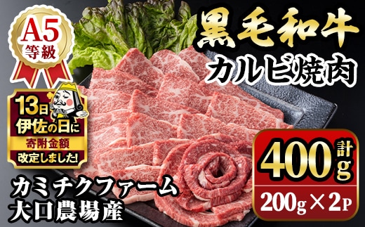 isa690 【伊佐の日・寄附額改定】鹿児島県(カミチクファーム 大口農場)産 黒毛和牛カルビ焼肉(計400g・200g×2パック) 黒毛和牛 カルビ 焼肉 和牛 国産牛 高級肉 A5 ランク 雌牛 霜降り 旨味 口どけ 牛肉 焼肉用 BBQ バーベキュー アウトドア 冷凍 小分け 【お肉の直売所 伊佐店】