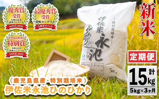 isa540 【定期便】令和8年産 新米 特別栽培米 伊佐米永池ひのひかり(計15kg・5kg×3ヶ月) 伊佐市 永池 新米 お米 米 白米 精米 伊佐米 食味コンテスト 最優秀賞受賞 ヒノヒカリ 【エコファーム永池】