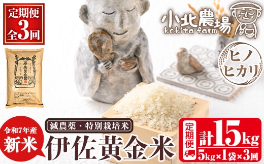 isa601 《数量限定・3回定期便》令和7年産 小北農場の新米 伊佐黄金米〈ヒノヒカリ〉(計15kg・5kg×1袋×3回) 鹿児島 伊佐 新米 お米 特別栽培米 伊佐米 白米 ヒノヒカリ ひのひかり おにぎり ごはん 【小北農場】