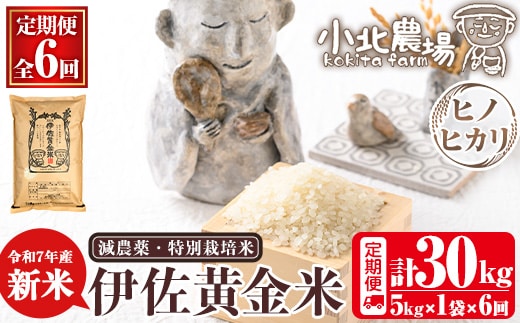 isa602 《数量限定・6回定期便》令和7年産 小北農場の新米 伊佐黄金米〈ヒノヒカリ〉(計30kg・5kg×1袋×6回) 鹿児島 伊佐 新米 お米 特別栽培米 伊佐米 白米 ヒノヒカリ ひのひかり おにぎり ごはん 【小北農場】