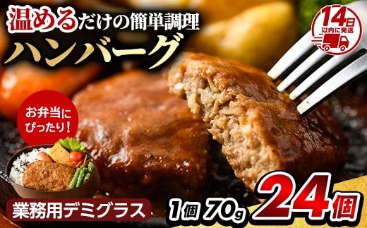 a1003 鹿児島県産黒豚ハンバーグ 計24個 (210g(3個入)×8P) 【AKR Food Company】姶良市 ハンバーグ デミグラスソース デミソース 国産 鹿児島県産 肉 豚 豚肉 かごしま黒豚さつま お弁当 惣菜 総菜 冷凍ハンバーグ おかず 温めるだけ 湯煎 簡単 冷凍 小分け