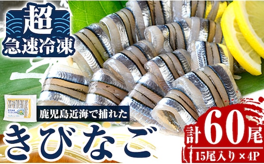 a1041 捕れたてキビナゴのお刺身(15尾入り×4P)【海鮮七海】姶良市 国産 きびなご キビナゴ 刺身 さしみ 刺し身 冷凍