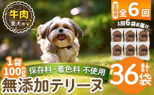a1055-E 【6回定期便】＜保存料・着色料 不使用＞愛犬用無添加牛テリーヌ6袋×6回(1袋約100g・合計約3.6kg)【Nフードサービス】姶良市 牛 テリーヌ 犬 ドッグ ペット フード エサ おやつ ごはん ご飯 間食 ご褒美 ペット関係