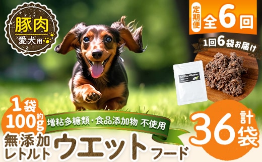 a1069-H 【6回定期便】＜増粘多糖類・食品添加物不使用＞愛犬用無添加レトルトパック 豚ウェットフード6袋×6回(1袋約100g・合計約3.6kg)【Nフードサービス】姶良市 ドッグ フード パウチ 犬 ペット おやつ ごはん ご褒美 ペット関係 常温 常温保存
