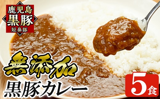 a106 鹿児島黒豚「短鼻豚」無添加カレー 1食 200g (計5食)【鹿児島ますや】姶良市 国産 鹿児島県 肉 豚 豚肉 黒豚 スパイス カレー スパイシー 温めるだけ 簡単