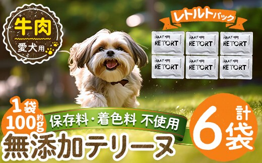 a1084-C ＜保存料・着色料 不使用＞愛犬用無添加テリーヌ レトルトパック 牛テリーヌ6袋(1袋約100g・合計約600g)【Nフードサービス】姶良市 牛 テリーヌ 犬 ドッグ ペット フード エサ レトルト おやつ ごはん ご飯 間食 ご褒美