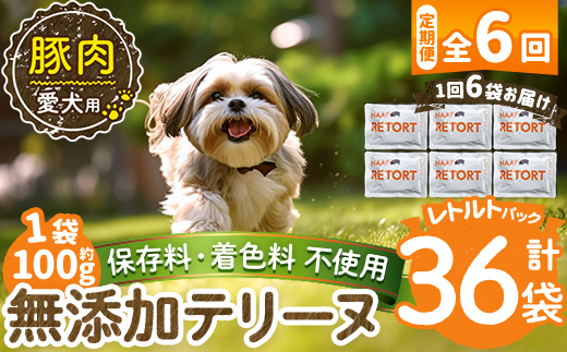 a1085-H 【6回定期便】＜保存料・着色料 不使用＞愛犬用無添加テリーヌ レトルトパック 豚テリーヌ6袋×6回(1袋約100g・合計約3.6kg)【Nフードサービス】姶良市 豚 テリーヌ 犬 ドッグ ペット フード エサ レトルト おやつ ごはん ご飯 間食 ご褒美