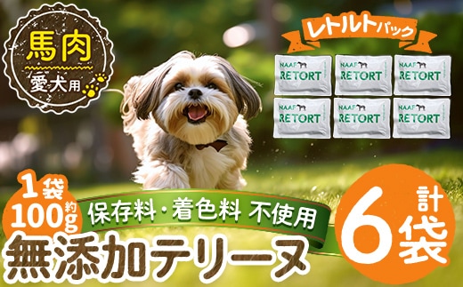 a1087-C ＜保存料・着色料 不使用＞愛犬用無添加テリーヌ レトルトパック 馬テリーヌ6袋(1袋約100g・合計約600g)【Nフードサービス】姶良市 馬 テリーヌ 犬 ドッグ ペット フード エサ レトルト おやつ ごはん ご飯 間食 ご褒美