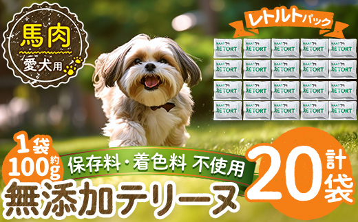 a1087-F ＜保存料・着色料 不使用＞愛犬用無添加テリーヌ レトルトパック 馬テリーヌ20袋(1袋約100g・合計約2kg)【Nフードサービス】姶良市 馬 テリーヌ 犬 ドッグ ペット フード エサ レトルト おやつ ごはん ご飯 間食 ご褒美