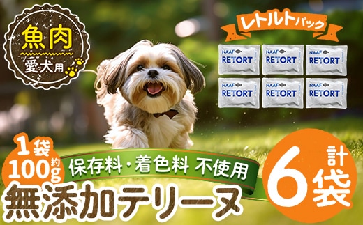 a1089-C ＜保存料・着色料 不使用＞愛犬用無添加テリーヌ レトルトパック 魚テリーヌ6袋(1袋約100g・合計約600g)【Nフードサービス】姶良市 魚 テリーヌ 犬 ドッグ ペット フード エサ レトルト おやつ ごはん ご飯 間食 ご褒美