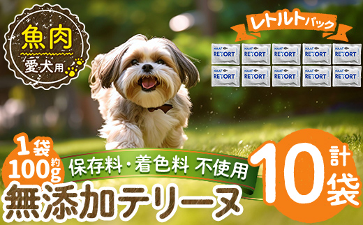a1089-D ＜保存料・着色料 不使用＞愛犬用無添加テリーヌ レトルトパック 魚テリーヌ10袋(1袋約100g・合計約1kg)【Nフードサービス】姶良市 魚 テリーヌ 犬 ドッグ ペット フード エサ レトルト おやつ ごはん ご飯 間食 ご褒美