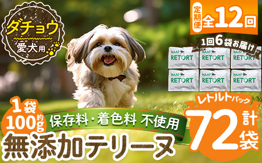 a1090-I 【12回定期便】＜保存料・着色料 不使用＞愛犬用無添加テリーヌ レトルトパック ダチョウテリーヌ6袋×12回(1袋約100g・合計約7.2kg)【Nフードサービス】姶良市 ダチョウ テリーヌ 犬 ドッグ ペット フード エサ レトルト おやつ ごはん ご飯 間食 ご褒美