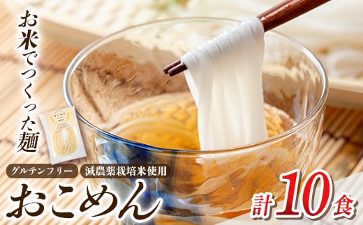 a1101-B おこめん(中麺) 1食100g(計10食)【アグリベースAIRA】姶良市 麺 お米麺 グリテンフリー