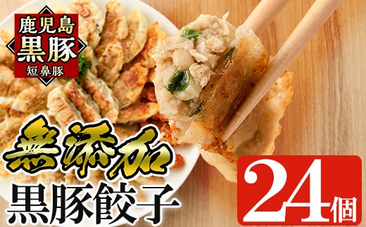 a1112 鹿児島黒豚「短鼻豚」無添加餃子 計24個(12個入×2パック)【鹿児島ますや】姶良市 国産 豚肉 野菜 ぎょうざ ギョーザ ギョウザ 惣菜 おかず 冷凍 安心