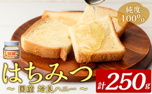 a1002-A 《期間限定！》姶良ハニー(250g)【原電設工業】姶良市 国産 ハチミツ はちみつ 蜂蜜 百花蜜 蜜 常温 常温保存