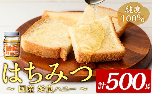 a1002-B 《期間限定！》姶良ハニー(500g)【原電設工業】姶良市 国産 ハチミツ はちみつ 蜂蜜 百花蜜 蜜 常温 常温保存