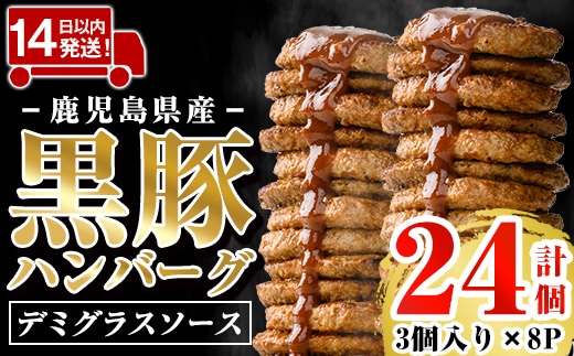 a1003 ＜年内発送＞鹿児島県産黒豚ハンバーグ 計24個 (210g(3個入)×8P) 【AKR Food Company】姶良市 ハンバーグ デミグラスソース デミソース 国産 鹿児島県産 肉 豚 豚肉 かごしま黒豚さつま お弁当 惣菜 総菜 冷凍ハンバーグ おかず 温めるだけ 湯煎 簡単 冷凍 小分け within2025
