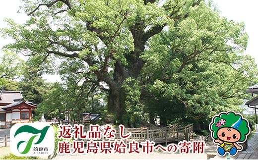 a474 ≪返礼品なし≫鹿児島県姶良市への寄附【姶良市】