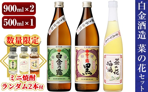 a475 《数量限定！ミニ焼酎ランダム2本付き》本格焼酎飲み比べ！白金酒造の定番芋焼酎白金乃露・白金乃露黒(各900ml)と白金酒造のいも焼酎で作った菜の花梅酒(500ml)の3本が楽しめる菜の花セット【白金酒造】