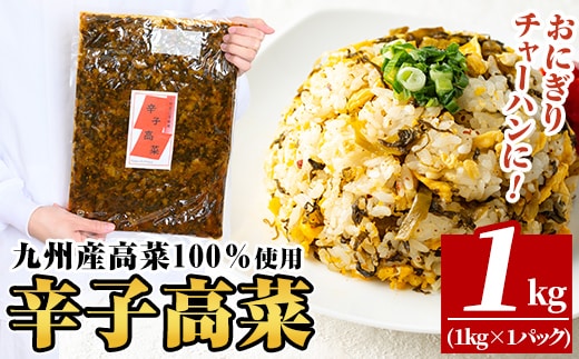 a568-A 九州産辛子高菜1kg(1kg×1パック)【九州新進】姶良市 国産 九州産 たかな 漬物 漬け物 ご飯のお供 おかず おつまみ おにぎり 常温 常温保存