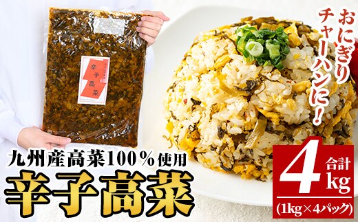 a568-B 九州産辛子高菜4kg(1kg×4パック)【九州新進】姶良市 国産 九州産 たかな 漬物 漬け物 ご飯のお供 おかず おつまみ おにぎり 常温 常温保存