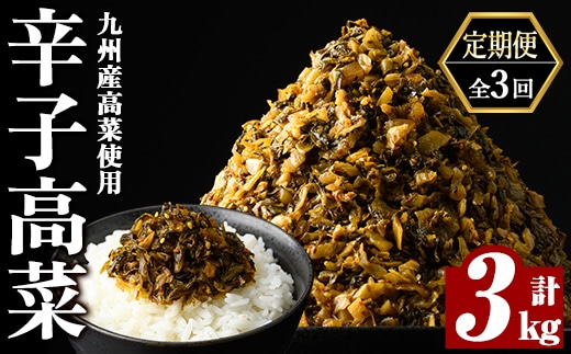 a568-C 【3回定期便】九州産辛子高菜 計3kg(1kg×3回)【九州新進】姶良市 国産 九州産 たかな 漬物 漬け物 ご飯のお供 おかず おつまみ おにぎり 常温 常温保存 定期便
