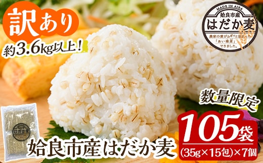 a630 《訳あり・数量限定》姶良市産はだか麦35g×105袋(合計約3.6kg超え)【竹之内穀類産業】国産 姶良市 ご飯 麦ごはん はだか麦 穀物 食物繊維 小分け 常温 常温保存