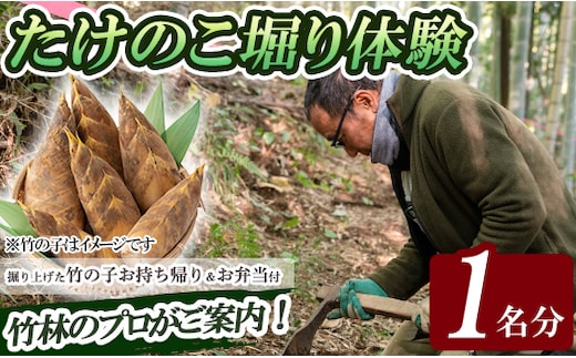 a931 ＜先行予約受付中！2027年3月中旬～4月中旬まで体験分＞竹の子堀り体験(1名様：昼食・タケノコ5kgお持ち帰り付)【夢竺山】