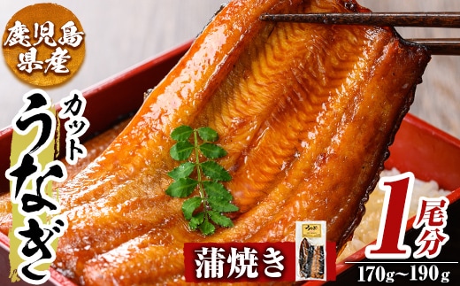 a982-A うなぎ蒲焼き・1尾分(170g～190g)【うえの屋】