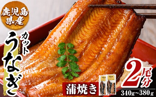 a982-B うなぎ蒲焼き・2尾分(1尾あたり170g～190g・最大合計340g以上)【うえの屋】