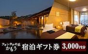 a971-A ＜3000円分＞フォンタナの丘かもう・宿泊助成サービス【フォンタナの丘かもう】姶良市 ギフト券 クーポン 宿泊券 割引券 宿泊 旅行 チケット 旅行券 ホテル 温泉