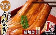 a982-A うなぎ蒲焼き・1尾分(170g～190g)【うえの屋】