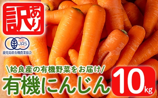 a992 《訳あり》《期間限定！2025年12月上旬～2026年3月上旬迄に発送予定》有機人参 (10kg)【今村農園】姶良市 国産 有機栽培 有機 野菜 やさい にんじん ニンジン 訳アリ