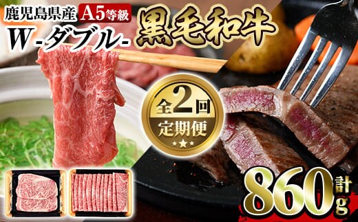 a898 《定期便全2回》A5等級！鹿児島県産黒毛和牛W(ダブル)ロースステーキ(180g×2枚)薄切りしゃぶしゃぶ・すきやき用(500g)【水迫畜産】姶良市 国産 鹿児島産 肉 牛肉 牛 ロース ステーキ しゃぶしゃぶ すき焼き 薄切り スライス 冷凍 肉定期便