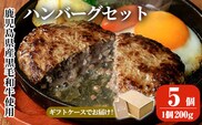 a750 鹿児島県産黒毛和牛ハンバーグセット(200g×5パック)【AKR Food Company】姶良市 国産 牛肉100% 冷凍 小分け