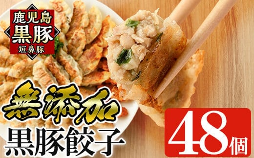 a441 鹿児島黒豚「短鼻豚」無添加餃子セット48個【鹿児島ますや】姶良市 ギョーザ 餃子 無添加 惣菜 おかず おつまみ 冷凍 黒豚 国産野菜 ぎょうざ