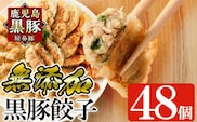 a441 鹿児島黒豚「短鼻豚」無添加餃子セット48個【鹿児島ますや】姶良市 ギョーザ 餃子 無添加 惣菜 おかず  おつまみ 冷凍 黒豚 国産野菜 ぎょうざ