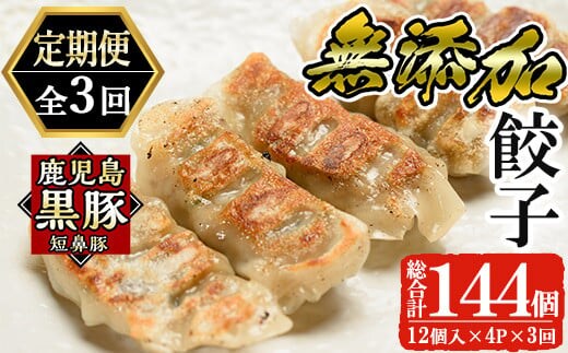 a880 《定期便全3回》鹿児島黒豚「短鼻豚」無添加餃子セット計144個(48個×3回)【鹿児島ますや】姶良市 ギョーザ 餃子 無添加 惣菜 おかず おつまみ 冷凍 黒豚 国産野菜 ぎょうざ