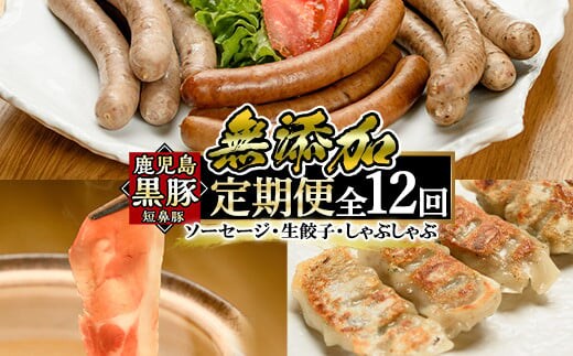 a888 《定期便全12回》鹿児島黒豚「短鼻豚」無添加ソーセージ＆生餃子＆しゃぶしゃぶ【鹿児島ますや】姶良市 豚肉 黒豚 無添加 ウィンナー ソーセージセット ウインナーソーセージ 豚しゃぶ 餃子 ぎょうざ ギョーザ おかず